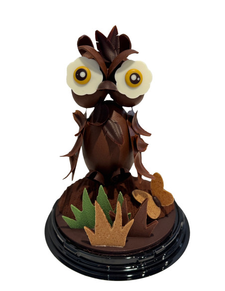 chouette en chocolat