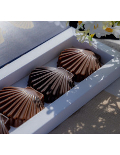 Coquillages gourmands