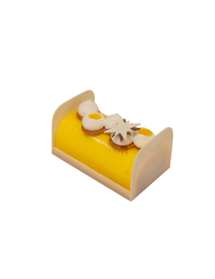 Bûche LAGUNE EXOTIQUE